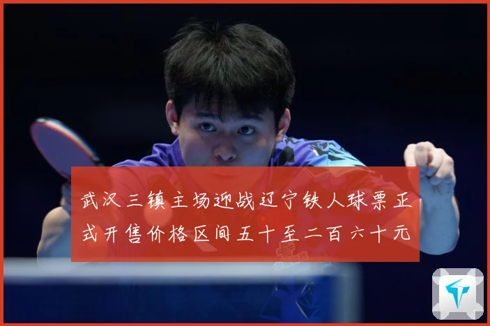 武汉三镇主场迎战辽宁铁人球票正式开售价格区间五十至二百六十元战术观察：最新赛事动态与深度分析